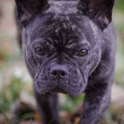 Zeigt eure Portraits-Beitrag-Bild