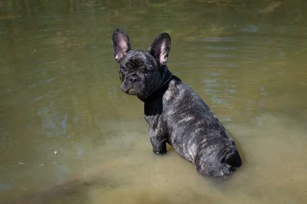 35. Handy Foto Challenge - Das nasse Element-Beitrag-Bild