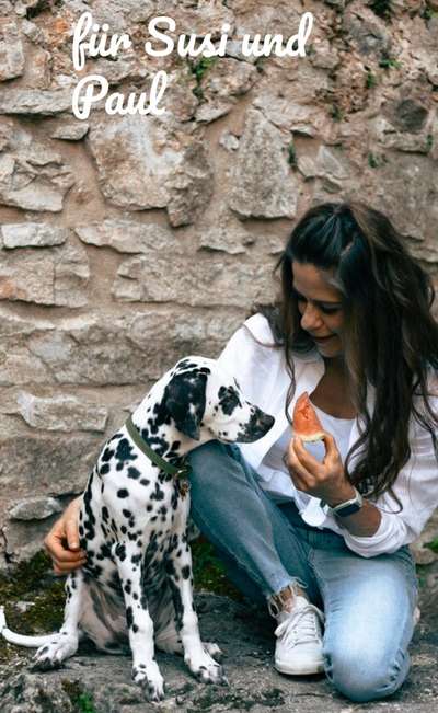 Hundetreffen-Social Walks & Training-Bild