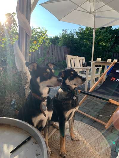 Doppelgänger gesucht !-Beitrag-Bild