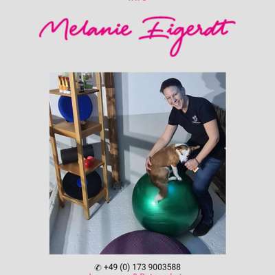 %{de_profession_title}-Tierphysiotherapie für Hunde, Pferde, ..-Bild