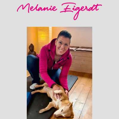 %{de_profession_title}-Tierphysiotherapie für Hunde, Katzen,...-Bild