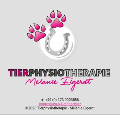 Medizinische Dienstleistungen-Tierphysiotherapie Melanie Eigerdt für Hunde, Katze, Pferd und Maus-Bild