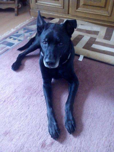 Fotochallenge Nr. 56 - geliebte Senioren-Beitrag-Bild