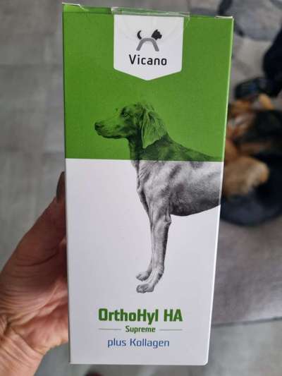 Grünlippmuschel-Beitrag-Bild