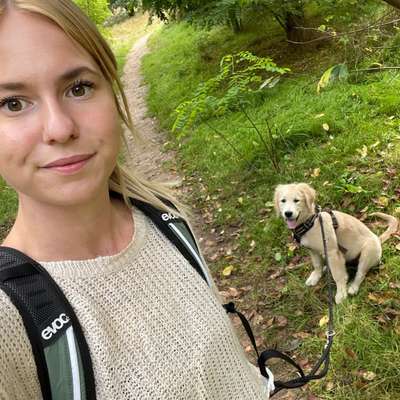 Hundetreffen-Spielrunde