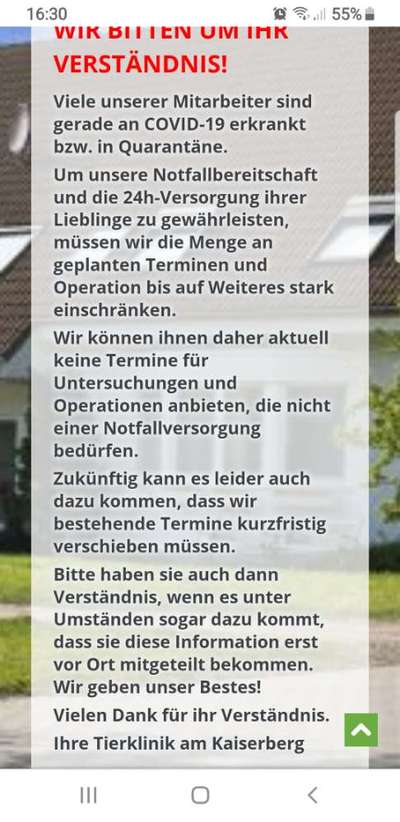 Wo sind die Dobis?-Beitrag-Bild