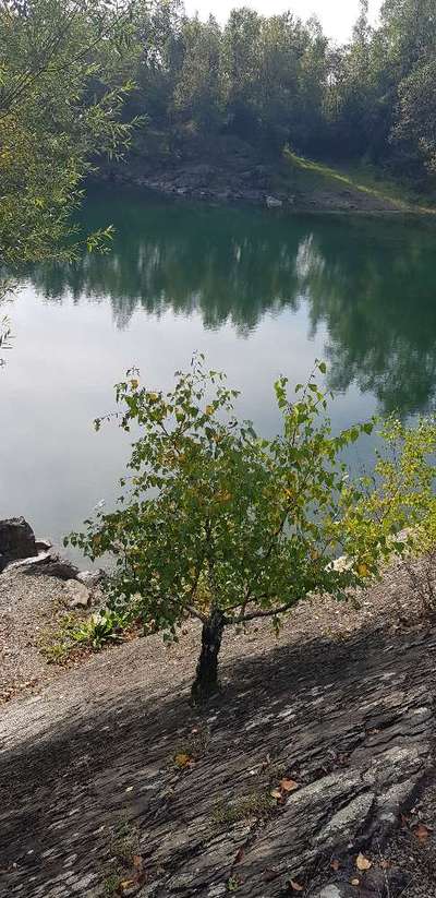 Die wunderschöne Welt mit Hund.-Beitrag-Bild