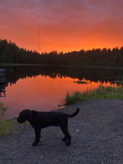 18. Farben Fotochallenge: Sonnenuntergang-Beitrag-Bild