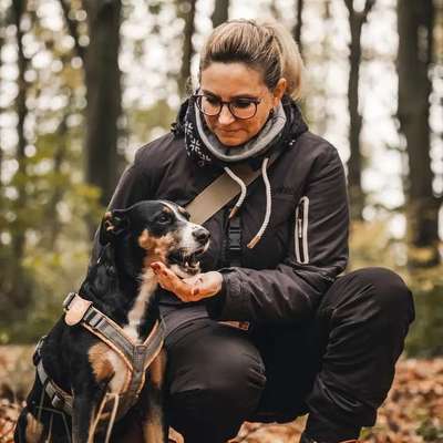 Hundetreffen-Gemeinsame Spaziergänge-Profilbild