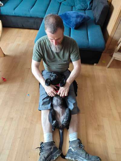 TierschutzhundeStammtisch🐕-Beitrag-Bild