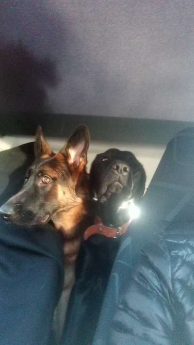 CHALLENGE NR. 18 - ON TOUR-Beitrag-Bild