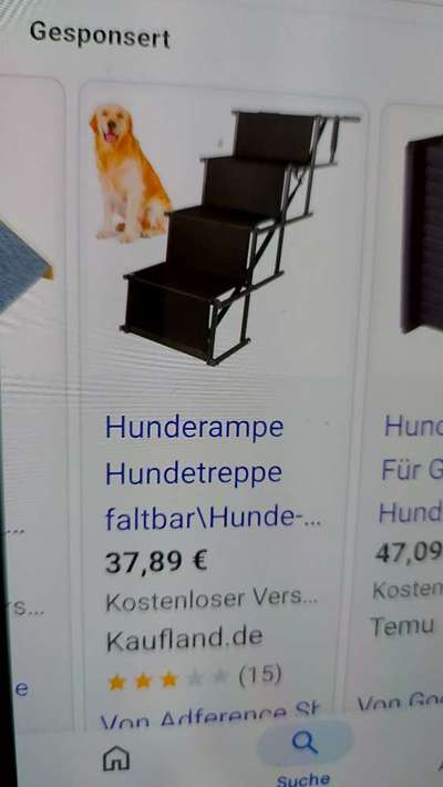 Hundetreppe für Einstieg in den Kofferraum-Beitrag-Bild