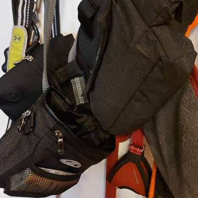 Empfehlung Gassitasche-Beitrag-Bild