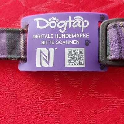 Personalisierte Hundemarke/ Kletti/ Namensschild für Hundegeschirr-Beitrag-Bild