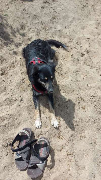 Doppelgänger gesucht !-Beitrag-Bild