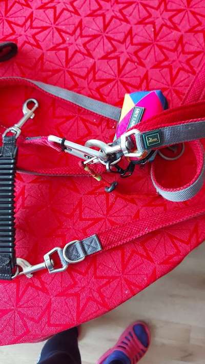 Qualitativ hochwertige Leine 3 - 5 m gesucht-Beitrag-Bild