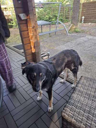 Doppelgänger gesucht !-Beitrag-Bild