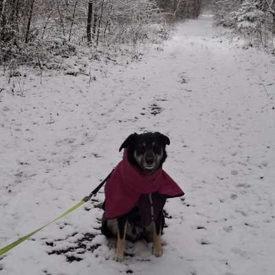 Welche Mäntel empfehlt ihr?-Beitrag-Bild