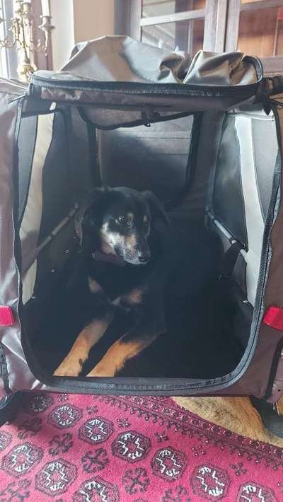 Anhänger für E-Bike-Beitrag-Bild