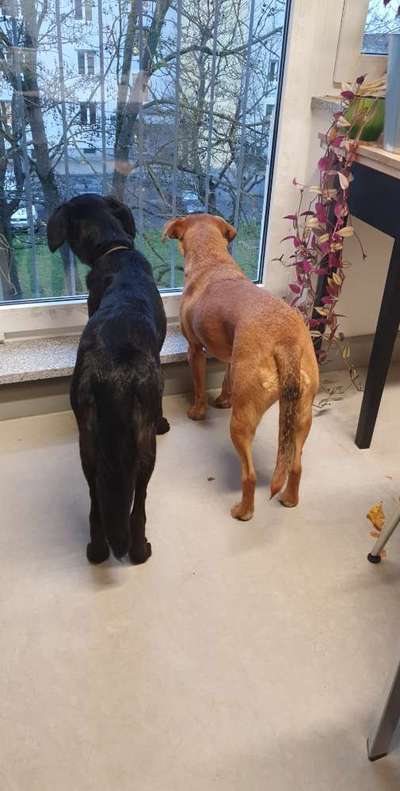 120. Fotochallenge-Beitrag-Bild