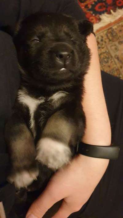 Sie werden so schnell erwachsen ...-Beitrag-Bild