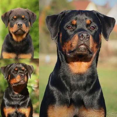 Vorher.... Nachher-Beitrag-Bild