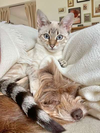 Foto Challenge Nr. 134-Beitrag-Bild