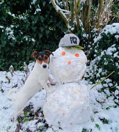 Fotochallenge 61 ~ Schnee-Beitrag-Bild