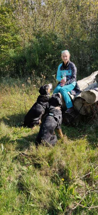 Weitere Große Schweizer Sennenhunde (oder andere große Rassen) hier?-Beitrag-Bild