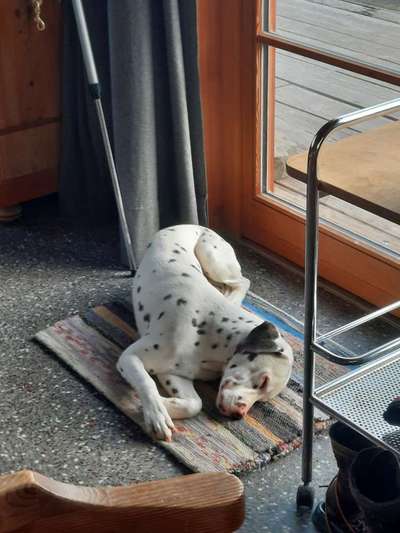 Die unbequemsten und lustigsten Schlafpositionen-Beitrag-Bild