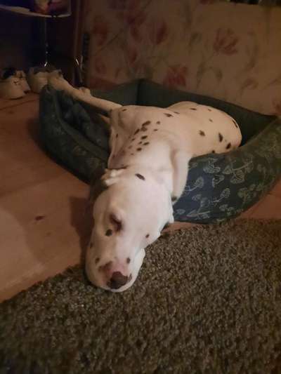 Die unbequemsten und lustigsten Schlafpositionen-Beitrag-Bild