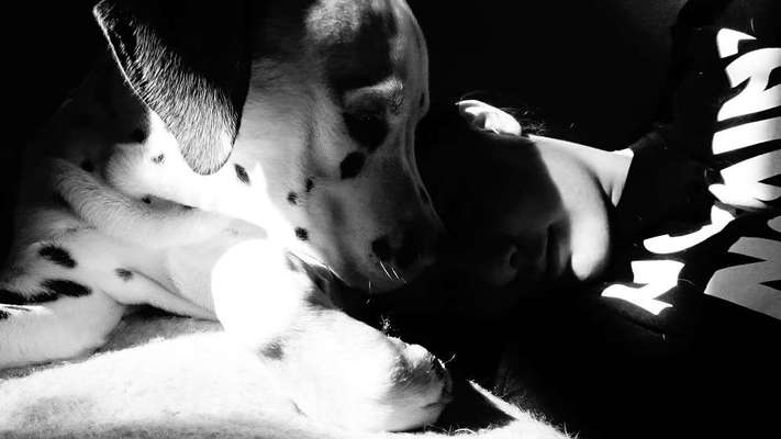 Euer schönstes Bild mit eurem Hund gemeinsam!-Beitrag-Bild