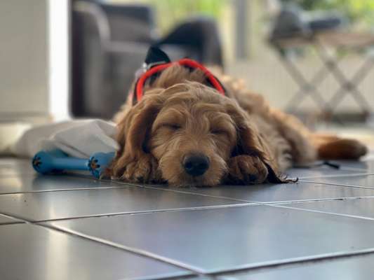 Fotochallange Nummer 5-Beitrag-Bild