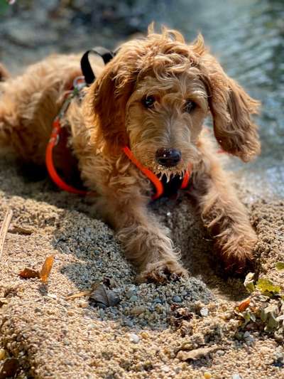 Handy-Foto-Challange Nr.9-Beitrag-Bild