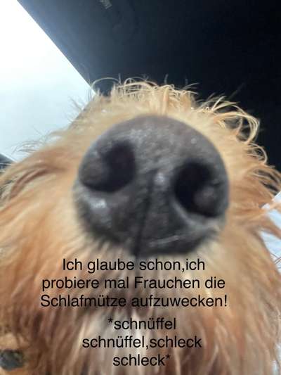 1. Kurzgeschichten Challenge  - Thema:  ...Los, aufstehen-Beitrag-Bild