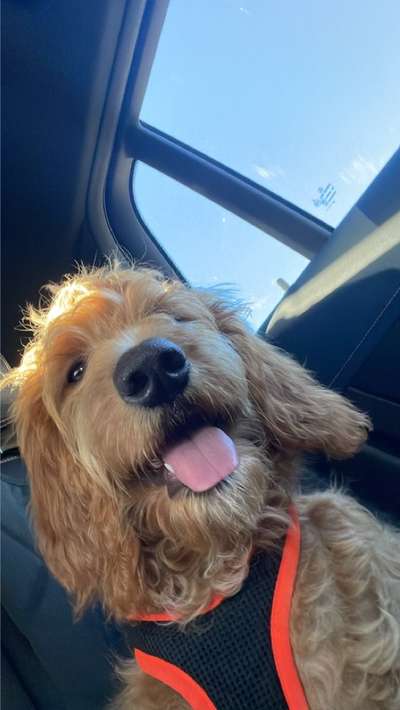 117. Fotochallenge-Beitrag-Bild