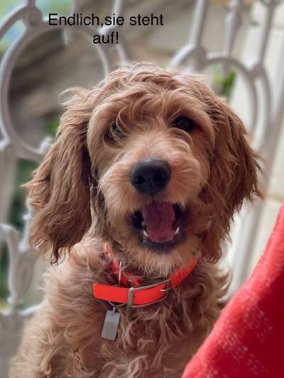 18. Collagen Challenge - Zunge raus!-Beitrag-Bild