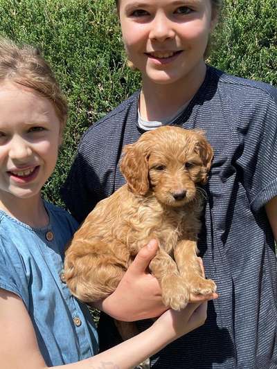 28. Handy-Fotochallenge - Damals und heute-Beitrag-Bild