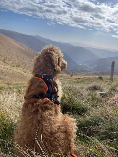 Fotochallenge Nr 107-Beitrag-Bild