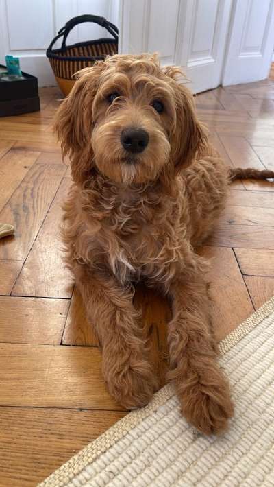 Doppelgänger gesucht !-Beitrag-Bild