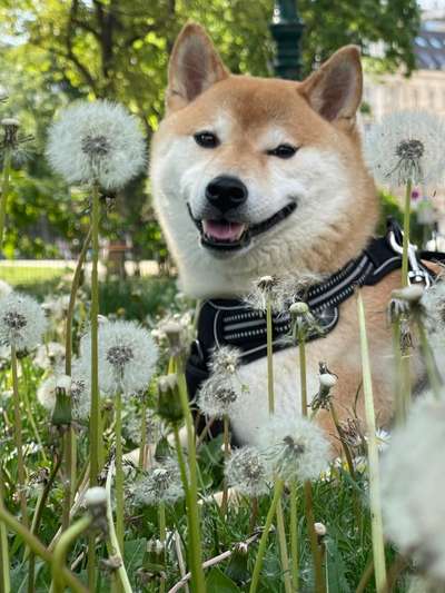 Handy-Foto-Challange Nr.9-Beitrag-Bild