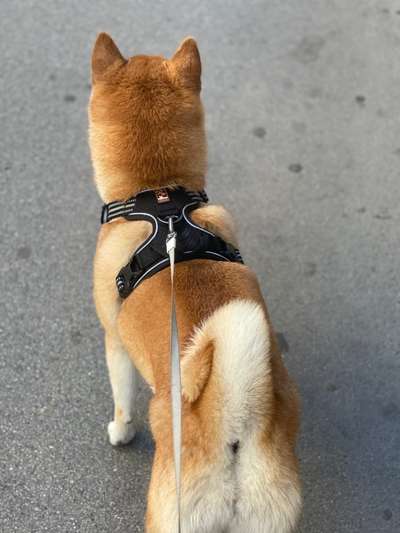 Ratespaß geht weiter-Beitrag-Bild