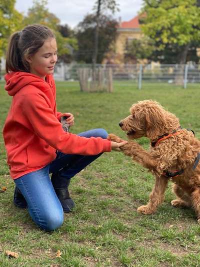 14. Handyfoto-Challenge: "BUDDY-Builder"-Beitrag-Bild