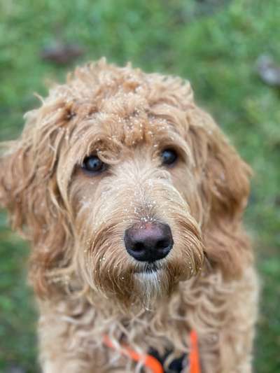 Der erste Schnee, zeigt uns eure tollen Schneemomente-Beitrag-Bild