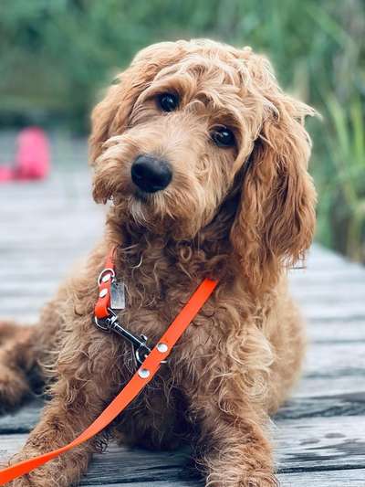 Doppelgänger gesucht !-Beitrag-Bild