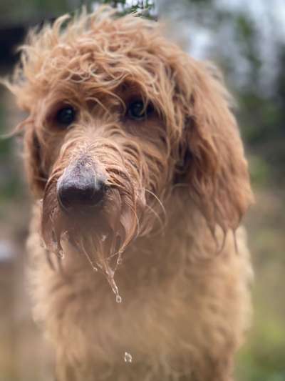 Zeigt eure Portraits-Beitrag-Bild