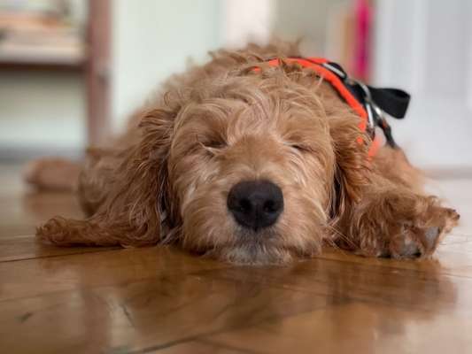 Ratespaß geht weiter-Beitrag-Bild