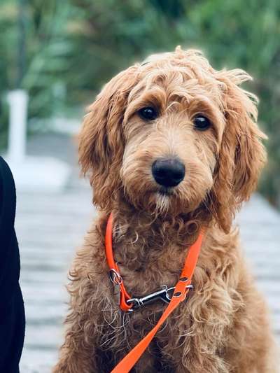 Ist das ein...?-Beitrag-Bild