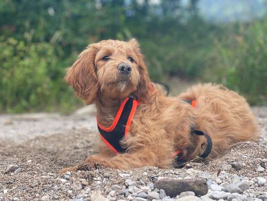 Fotochallenge Nr. 94 It's summer time-Beitrag-Bild